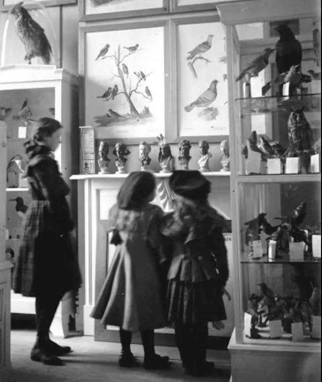 巖星特刊 | 以兒童的視角看博物館,解鎖新玩法插圖(1) 巖星特刊 | 以兒童的視角看博物館,解鎖新玩法插圖(1)