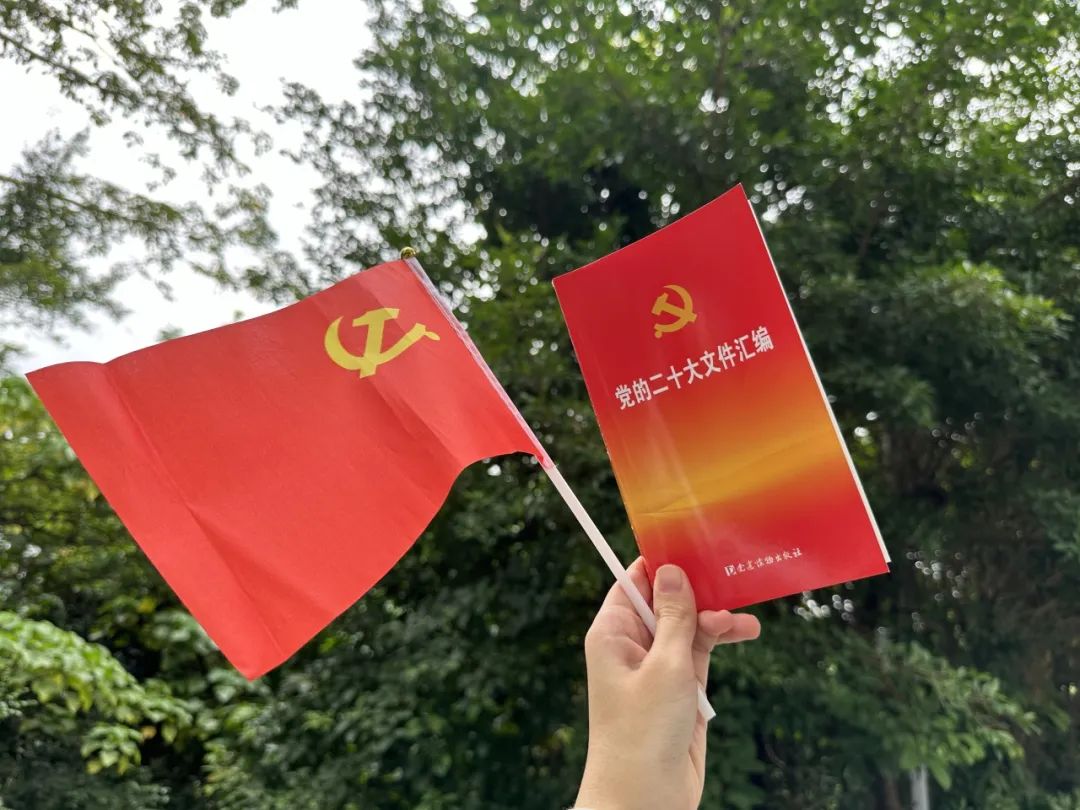 巖星之聲|巖星科建黨支部赴蓮花山開(kāi)展主題黨日活動(dòng)插圖(8) 圖片